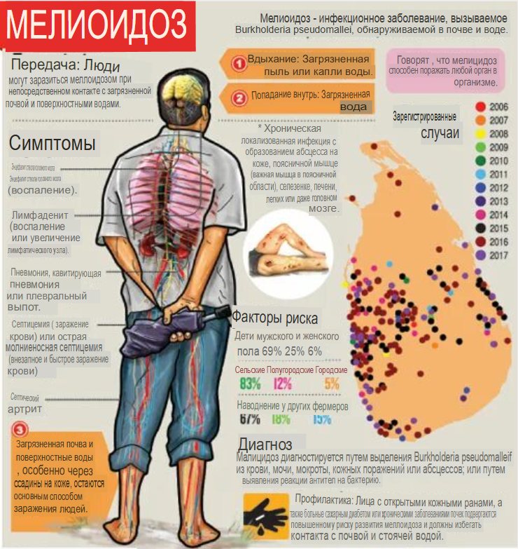 Мелиоидоз - определение (переведено на русский)https://www.sundaytimes.lk/170611/news/watch-out-for-melioidosis-after-disaster-244914.html