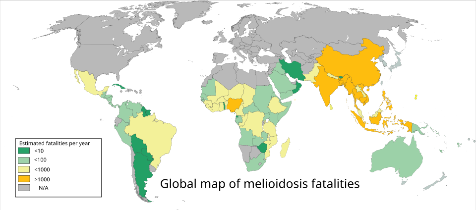 ЭПИДЕМИОЛОГИЯ МЕЛИОИДОЗА - Источник: https://en.wikipedia.org/wiki/File%3AMelioidosis_world_map_distribution.svg (20 февраля 2020)